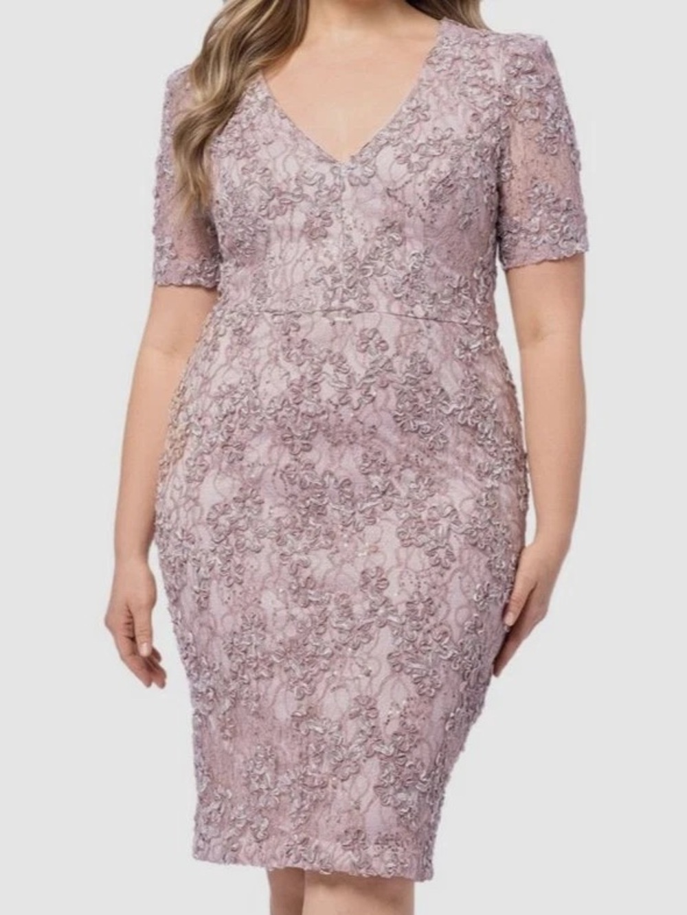Xscape V-Neck Soutache Lace‎ Sheath Formal Dress in Dusty Pink 14W